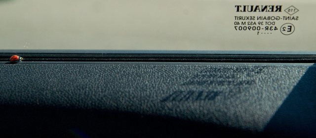 Retrato de una Mariquita