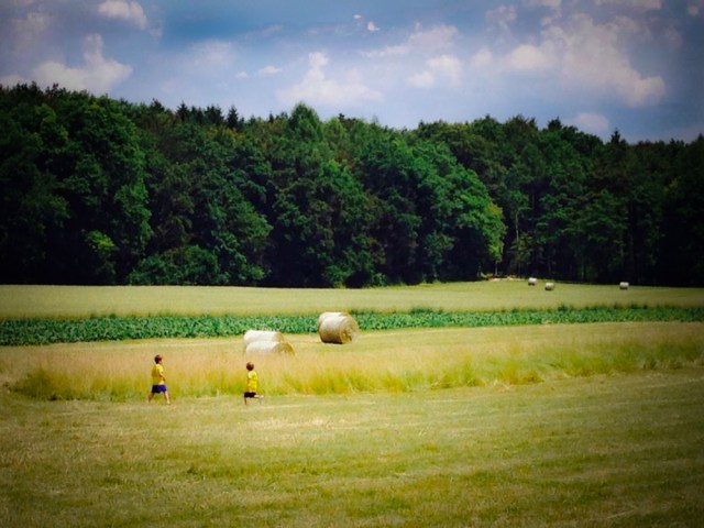 A proposito del Mundial